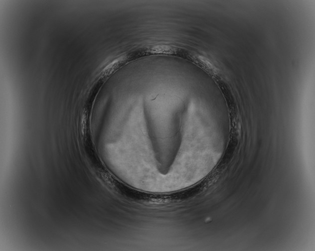 X0000082970744200703020234