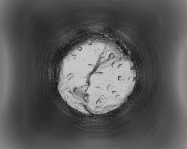 X0000082970745200703020234