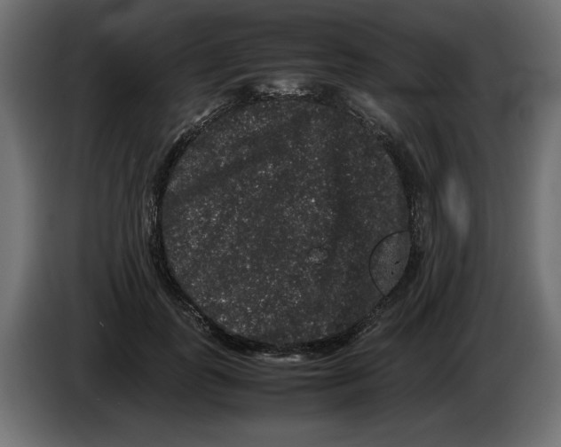 X0000082970747200703020234