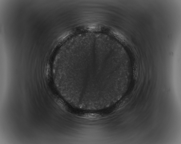 X0000082970748200703020234