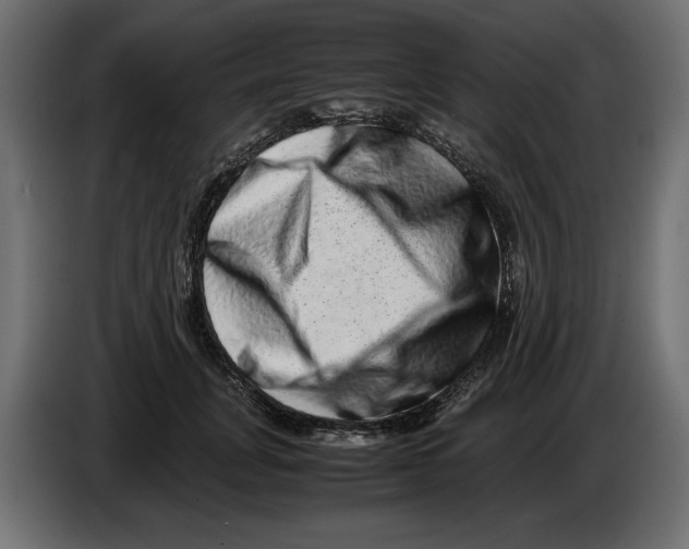 X0000082970751200703020234