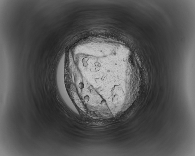X0000082970753200703020234