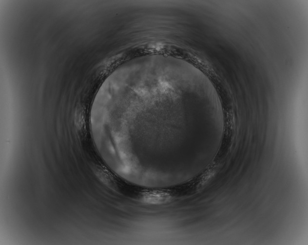 X0000082970754200703020234