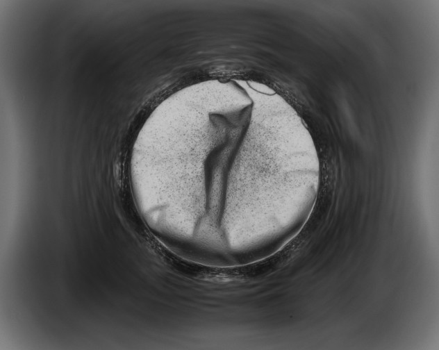 X0000082970755200703020234