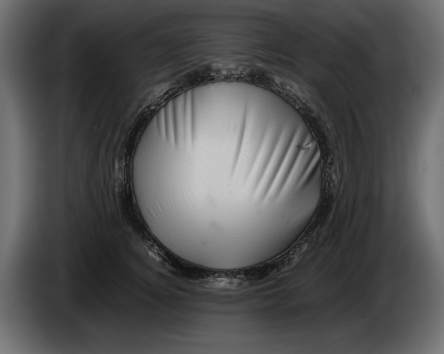 X0000082970756200703020234