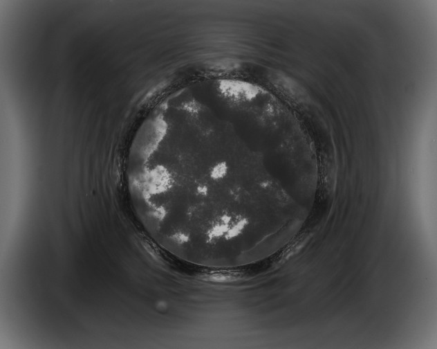 X0000082970758200703020234