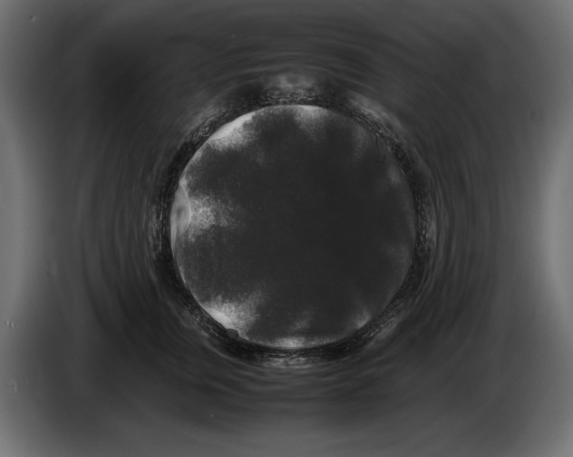 X0000082970759200703020234