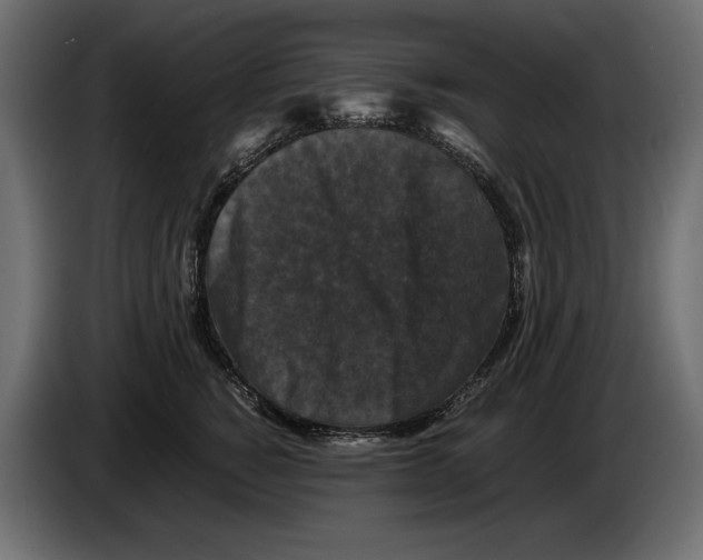 X0000082970760200703020234