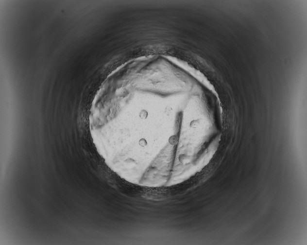 X0000082970761200703020234