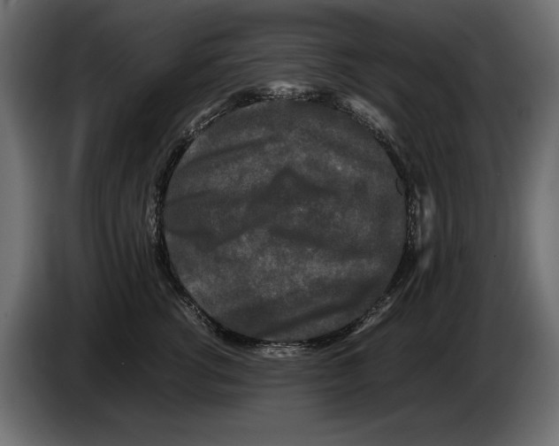 X0000082970762200703020234
