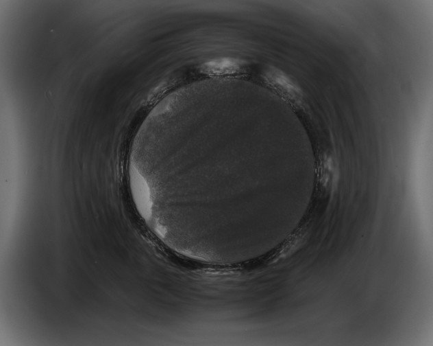 X0000082970763200703020234