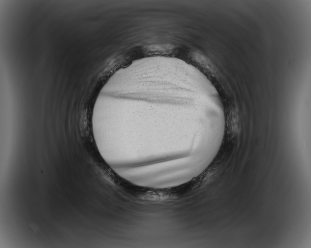 X0000082970764200703020234