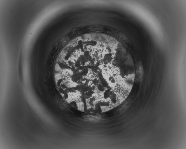 X0000082970765200703020234