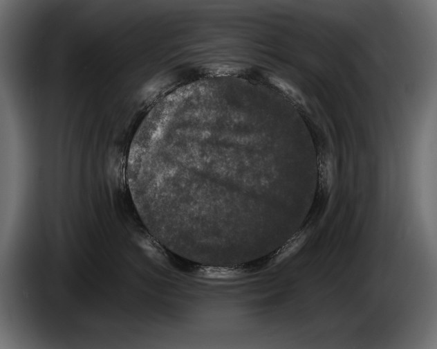 X0000082970766200703020234