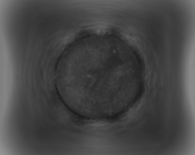X0000082970769200703020233