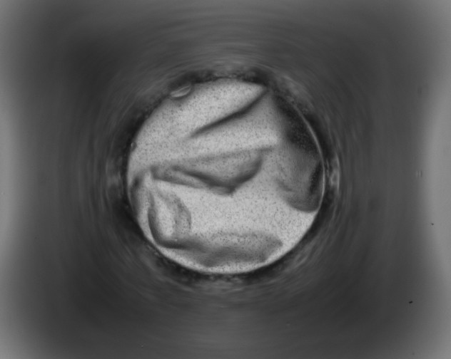 X0000082970771200703020233