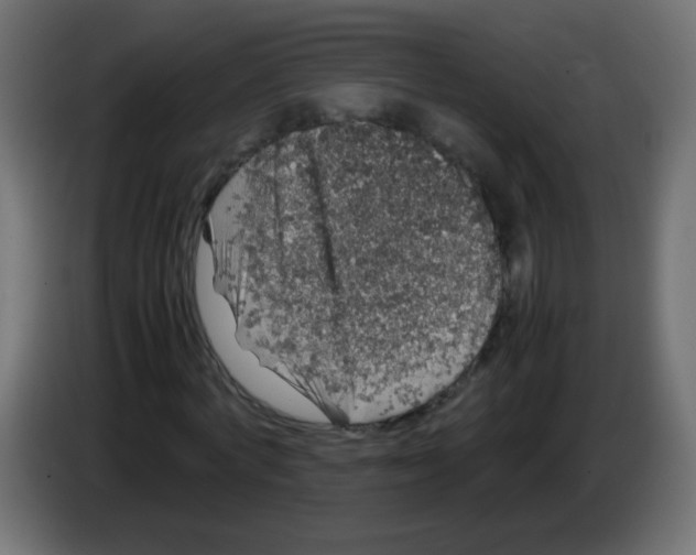 X0000082970772200703020233