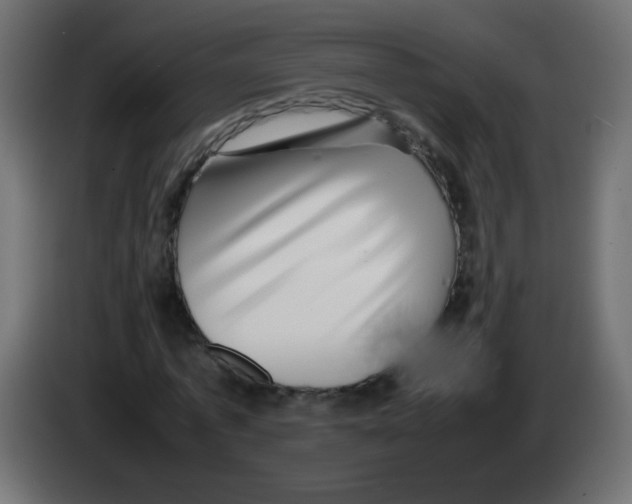 X0000082970773200703020233