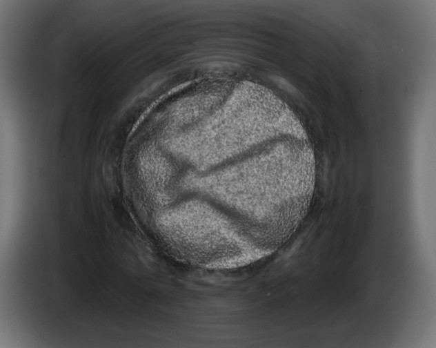 X0000082970774200703020233