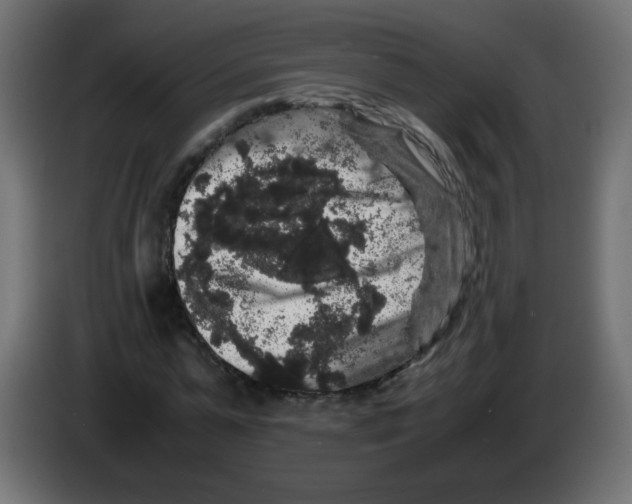 X0000082970775200703020233