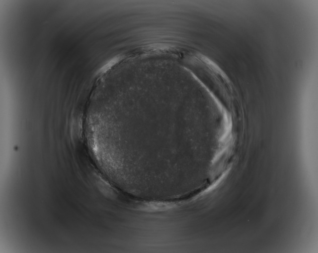 X0000082970777200703020233