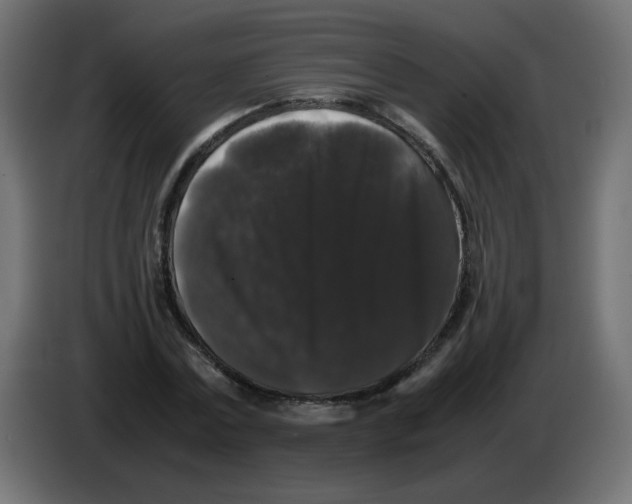 X0000082970779200703020233