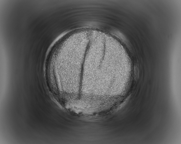 X0000082970780200703020233