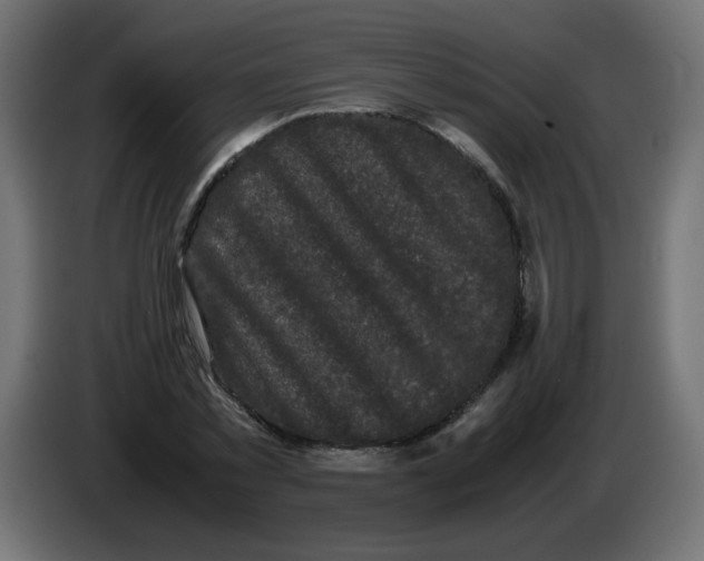 X0000082970781200703020233