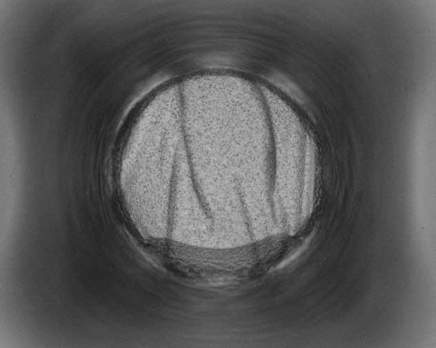 X0000082970782200703020233