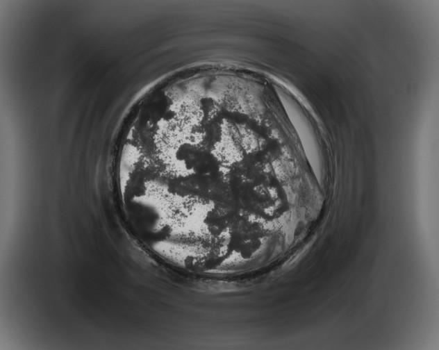 X0000082970783200703020233