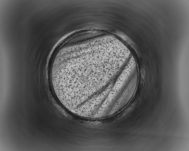 X0000082970784200703020233