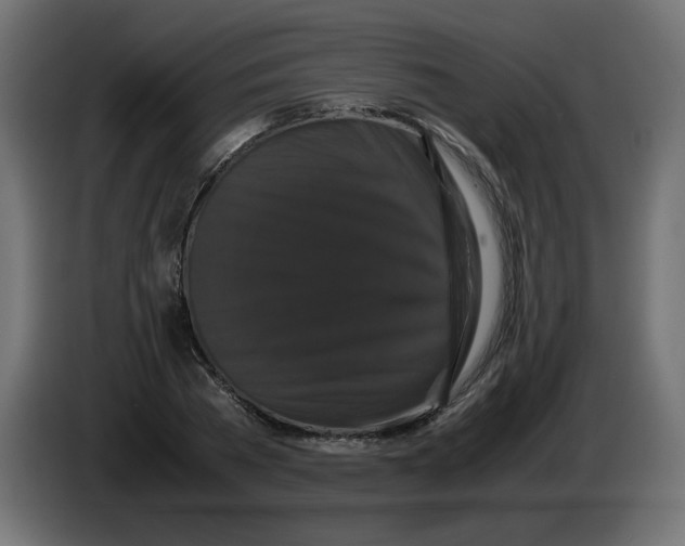 X0000082970785200703020233