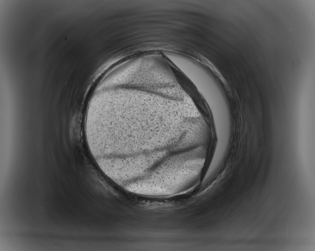 X0000082970786200703020233