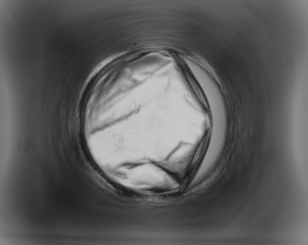 X0000082970787200703020233