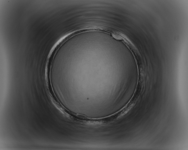 X0000082970788200703020233