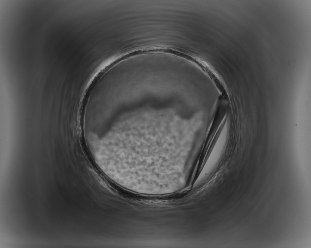X0000082970789200703020233