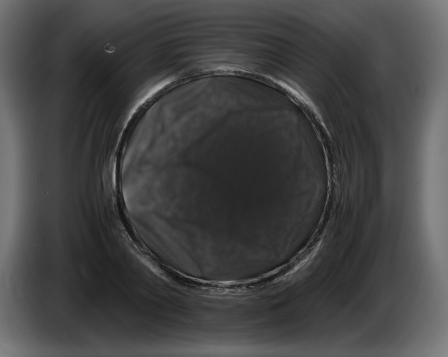 X0000082970790200703020233