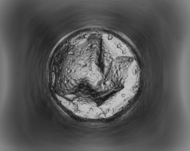 X0000082970791200703020233