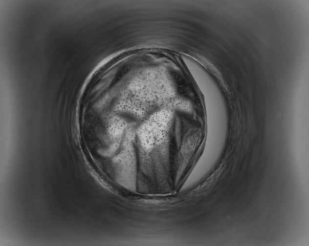X0000082970792200703020233
