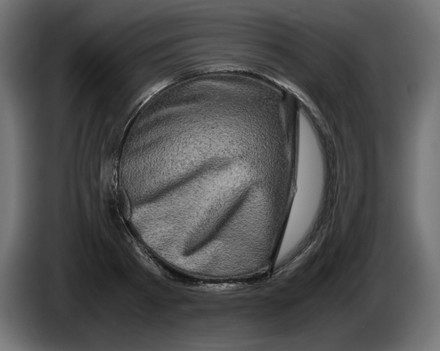X0000082970793200703020233