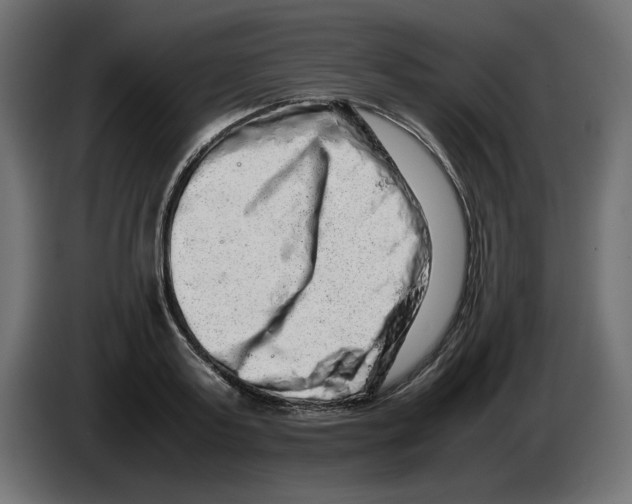 X0000082970795200703020233