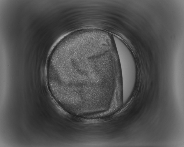 X0000082970796200703020233