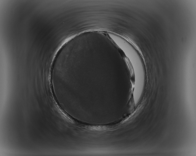X0000082970797200703020233