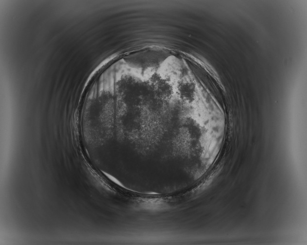 X0000082970798200703020233