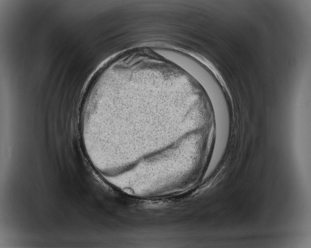 X0000082970799200703020233