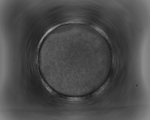 X0000082970800200703020233