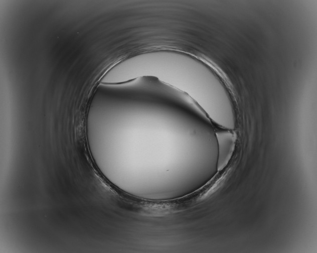 X0000082970801200703020233