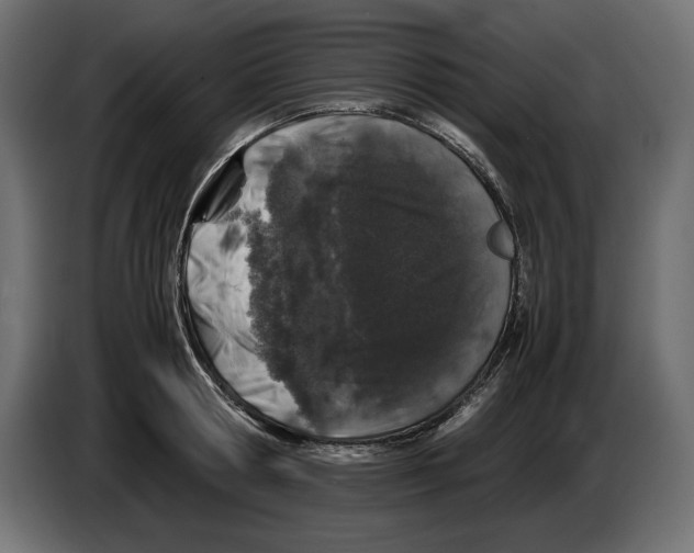 X0000082970802200703020233