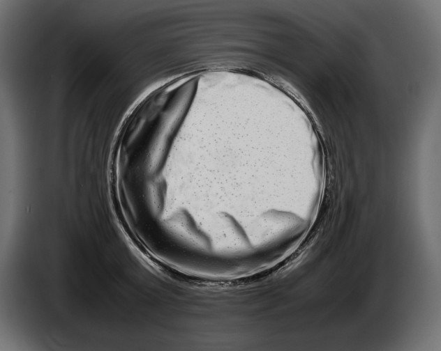 X0000082970803200703020233
