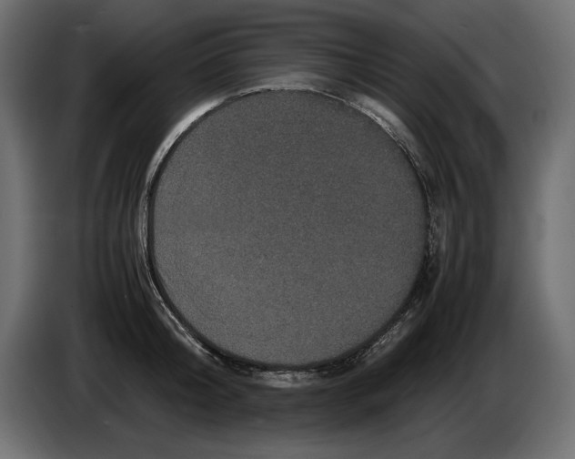 X0000082970804200703020233